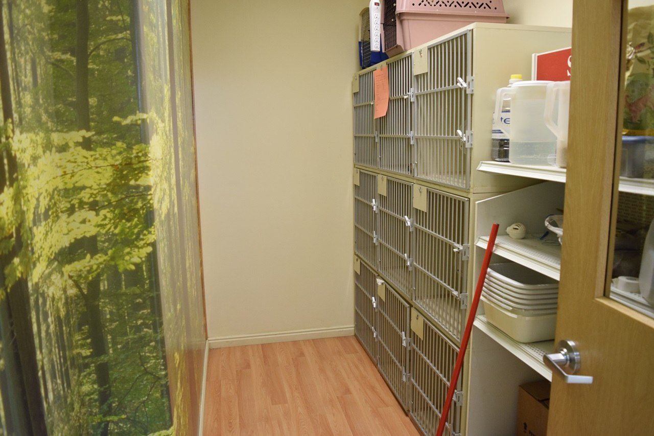 Clinic Tour Sunnyside Vet Clinic